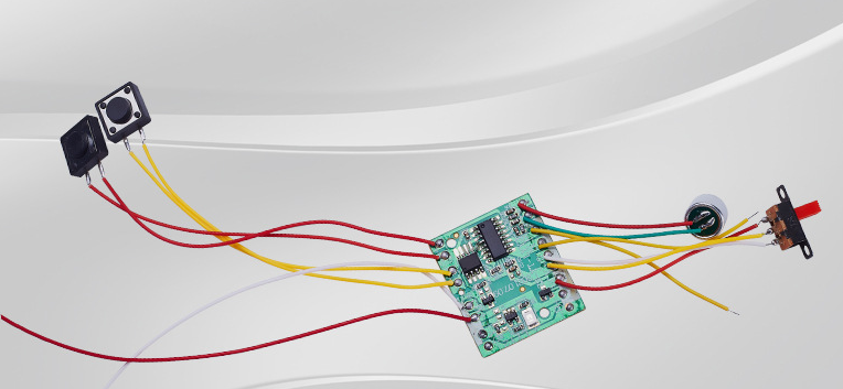 跳舞仙人掌的主板 跳舞仙人掌的主板